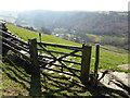 Gate on Glyndwr