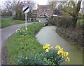 The Langlands, Huntspill