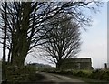 Barn among the trees