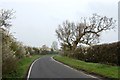 Spring on the road to South Fambridge