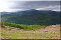 Coedwig uwchben Ganllwyd / Woodland above Ganllwyd