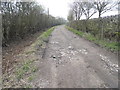 Track from Beaumont Road, Wormley West End