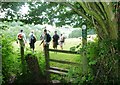 Footpath from Lining Wood towards Lea