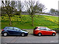 C4316 : Daffodil display, Derry / Londonderry by Kenneth  Allen
