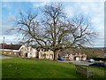 Napton Village Green