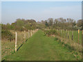 Track to Linford Wood