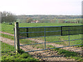 View towards Lushbush