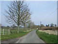 SP3666 : Lane heading north east out of Offchurch by JThomas