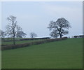 Farmland south of Shuckburgh Road