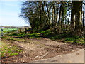 Bridleway leaves road between field and woodland