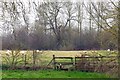 Stile on the footpath