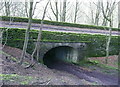 SK3056 : Bridge over Intake Lane by Humphrey Bolton