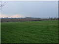 Farmland south of Staverton