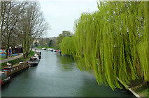 TL4559 : The River Cam in Cambridge by Roger  D Kidd