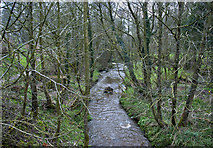 SD5633 : Savick Brook from Londonderry Bridge by Ian Greig