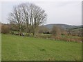 Fields, above Maundown