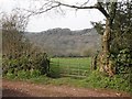 View towards Oakhampton Wood