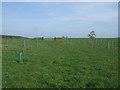 Field entrance off South Kilworth Road