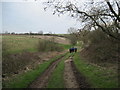 SE9667 : Green  Lane  (track)  into  Rabbit  Garth  Slack by Martin Dawes
