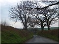 Minor road south-east of Wonton Cross