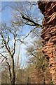 NT6616 : Red sandstone cliffs by the Jed Water by Walter Baxter