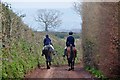 Mid Devon : Country Lane & Horses