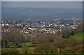 Mid Devon : Cullompton Scenery