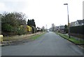 Cumberland Avenue - viewed from Dorchester Road