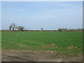 SP5689 : Farmland off Gilmorton Road by JThomas
