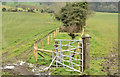 J4577 : Field gates near Craigantlet by Albert Bridge