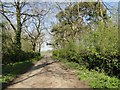 TM2670 : Access road to St. Edmund's Farm by Adrian S Pye