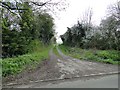 Track to Beech Tree Farm, Bleach Green