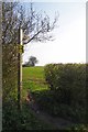 Footpath to Hackmans Lane