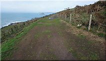 SX5246 : S. West Coast Path by jeff collins