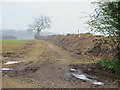 TA0712 : Destroyed Hedgerow by David Wright