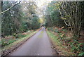 Fernden Lane below Blackdown Hill