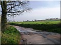 Farmland west of Langation Lane