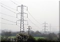 Electricity Transmission Line, Ditchford Bank