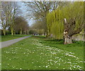 Path and cycleway along the River Soar