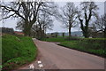 Mid Devon : Country Lane