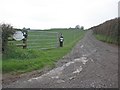 Track to Kerdon Farm