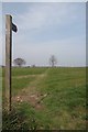 Footpath to Chelmsford Rd