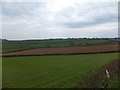 Fields north of Malborough