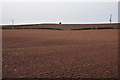 Mid Devon : Ploughed Field