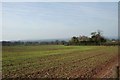 Field adjacent to Trimpley Village Hall, Trimpley, Worcs