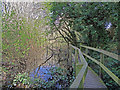 Quarry floor: Berengrave Nature Reserve