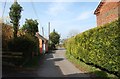 Lane at Trimpley, Worcs