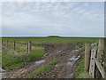 SW9768 : Field gate on St Breock Downs by Rod Allday