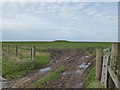 Field gate on St Breock Downs