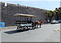 SN1300 : Horse and carriage, South Parade, Tenby by Jaggery